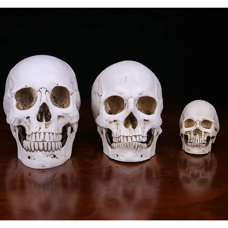 Sculpture resin halloween home decoration decoration craft skull size 1:1 model life copy medical high quality statue