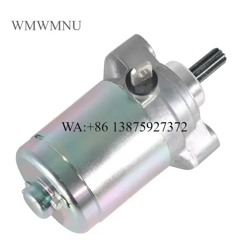 Wmwmnu Motorcycle Electrical Starter Motor for Beta RR 125 LC 4T 021070000000