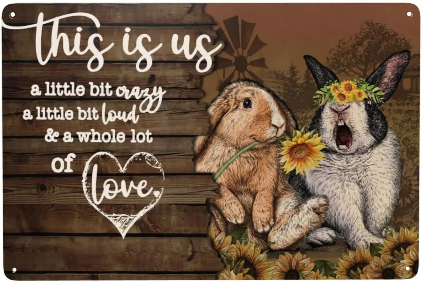 Metal Vintage Tin Sign Rabbit Couple A Little Bit Creazy Loud Whole Lot Love For Home Office Coffee Bar Club Pub Metal Sign sign