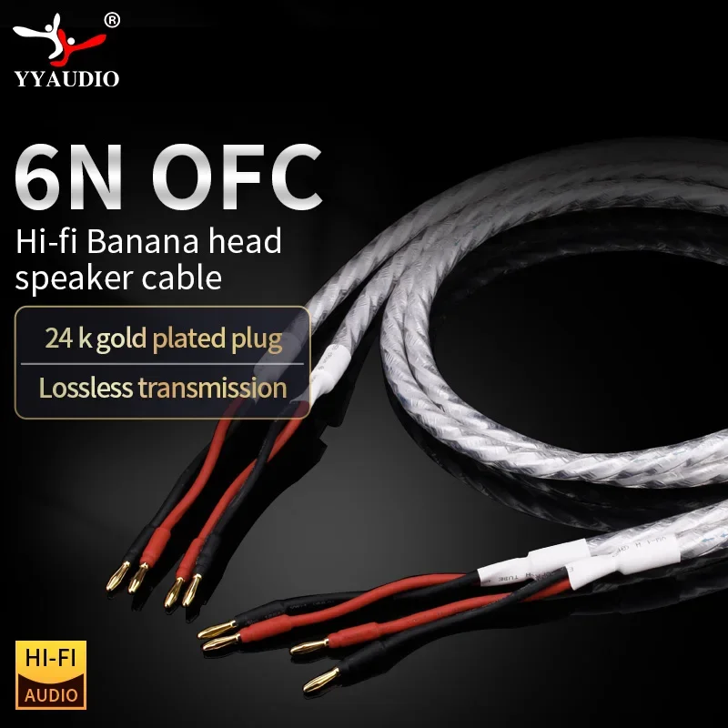 

YYAUDIO One Pair LITON HIFI Speaker Cable HI-End Amplifier 6N OFC Hi-end Hifi Speaker Cable With Banana Plugs