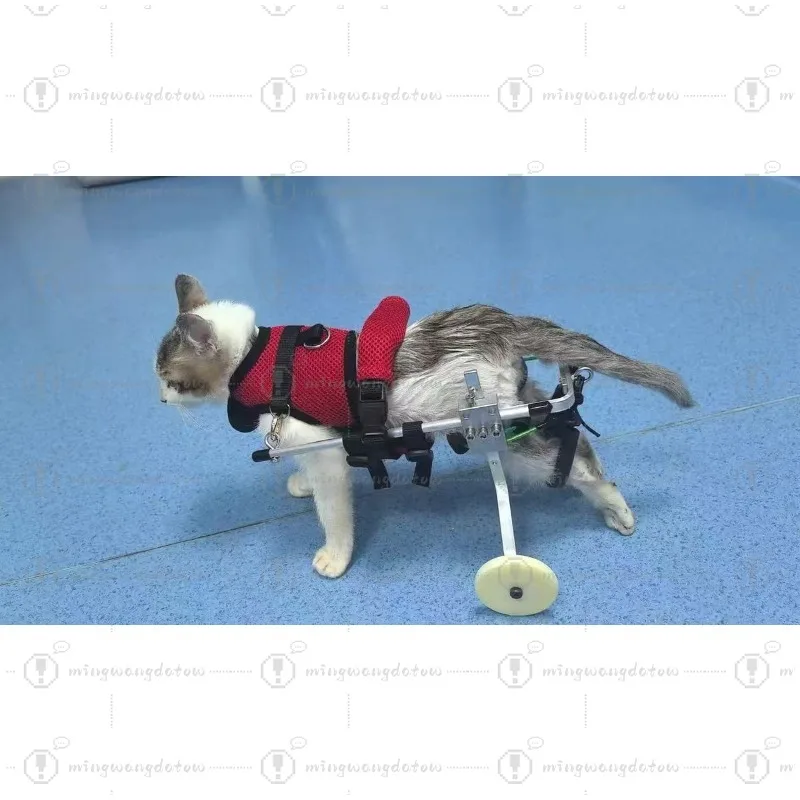 

Dog Wheelchair Hind Limb Paralyzed Pet Scooter Disabled Dog Hind Leg Assist Cat Teddy Pet Bracket