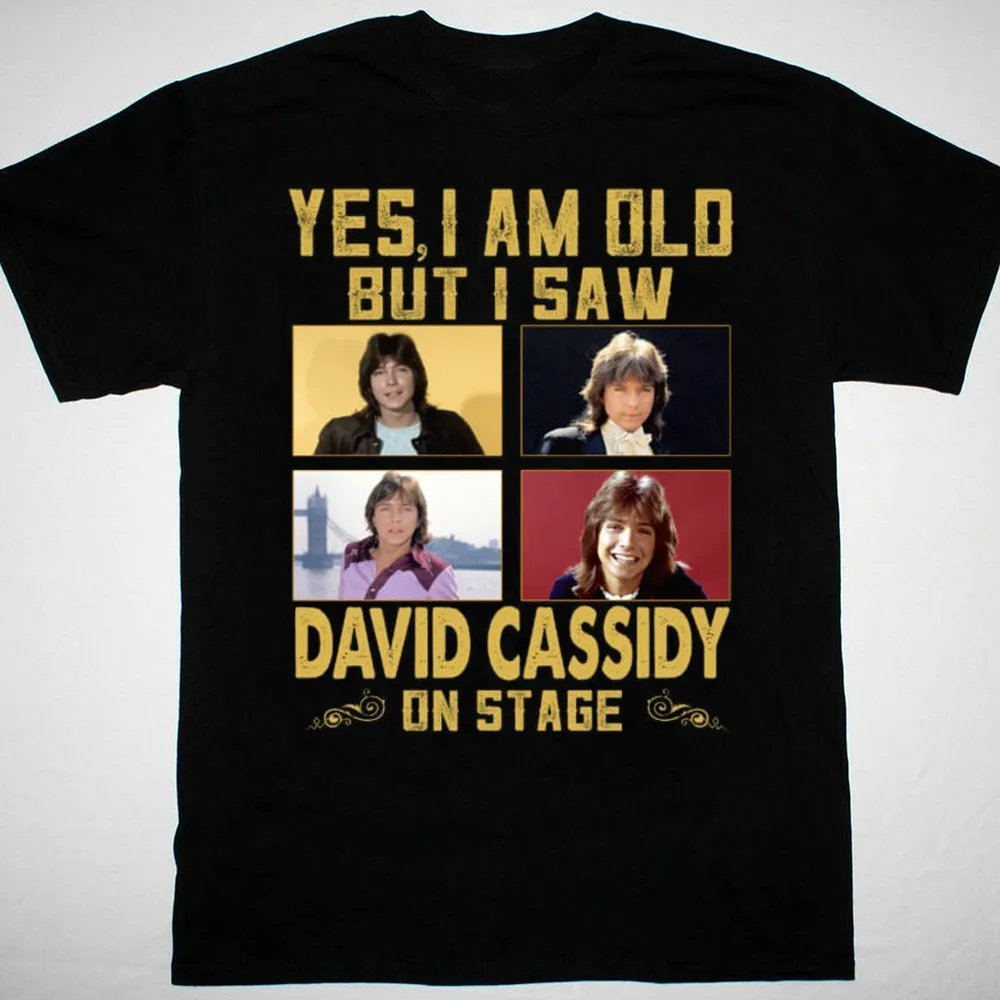 I saw David Cassidy on stage T-shirt short sleeve All sizes Black JJ4320