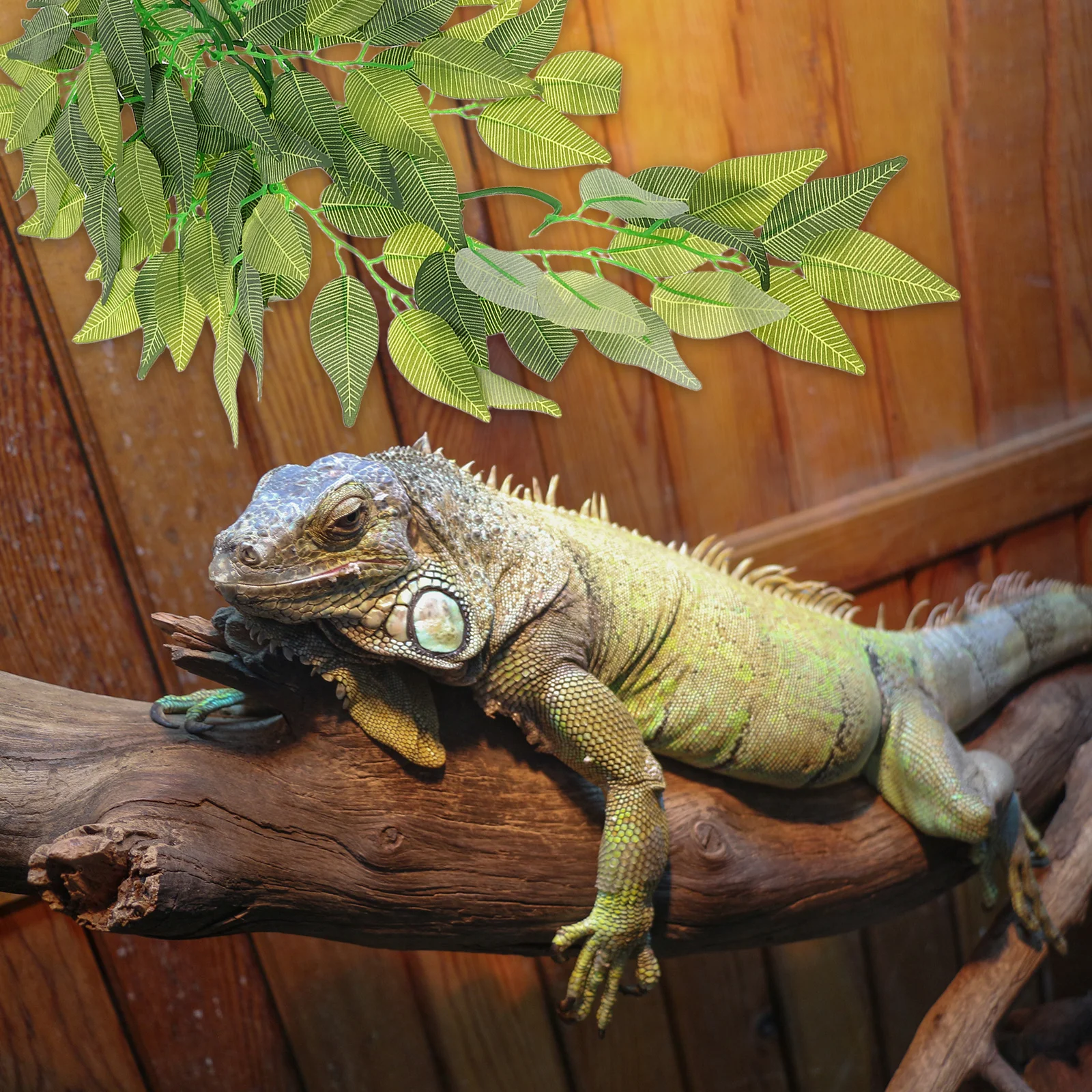 

Artificial Vines Realistic Reptile Terrarium Plants Fake Leaves Climbing Decoration for Lizard Gecko Snake Habitat Accessories