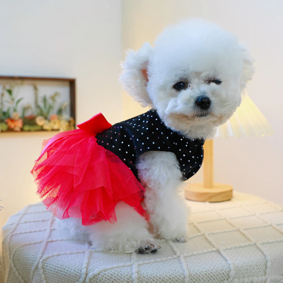 1PC Pet Clothing Cat Spring/Summer Black Bow Red Princess Dress Traction Buckle Suitable for Small and Medium sized Dogs