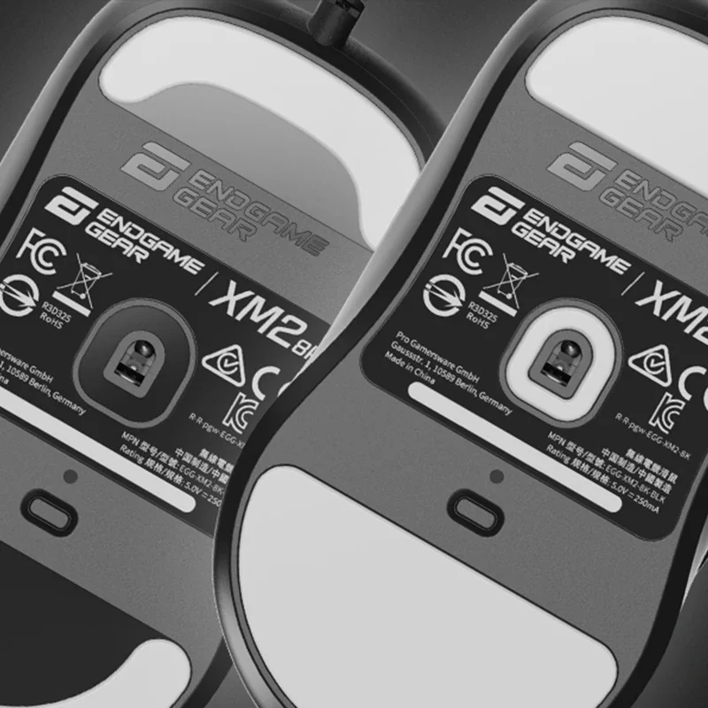 Endgame Gear XM2 8K Mouse Mouse cablato Paw3395 8000Hz Tasso di polling Mouse da gioco leggeri per Valorant CS APEX Accessori per PC