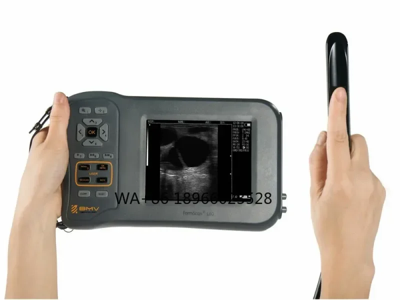 L60 portable veterinary ultrasound scanner for farm animals