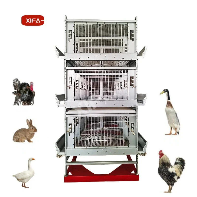 

New Condition Automatic Poultry Farming System For Chickens Ducks Geese Metal Chicken Coop And Cages 1 Year Warranty