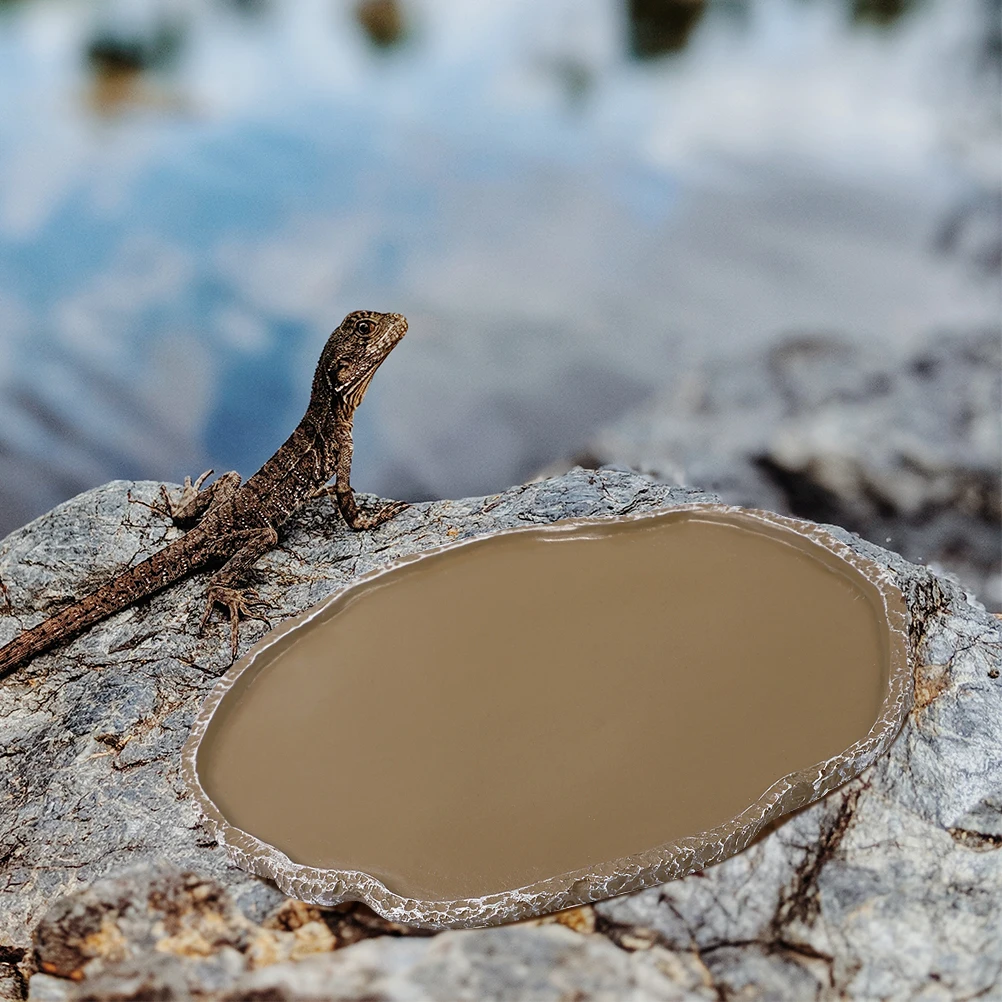 2pcs Resin Pet Food Bowl Reptile Water Dishes Lizard Feeders Chameleon Crab Bearded Accessories Sturdy