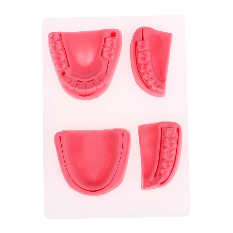 4-teiliges Dental-Simulationsmodell für Mundnaht, Zahnfleisch-Naht-Trainingsausrüstung – Detail 2
