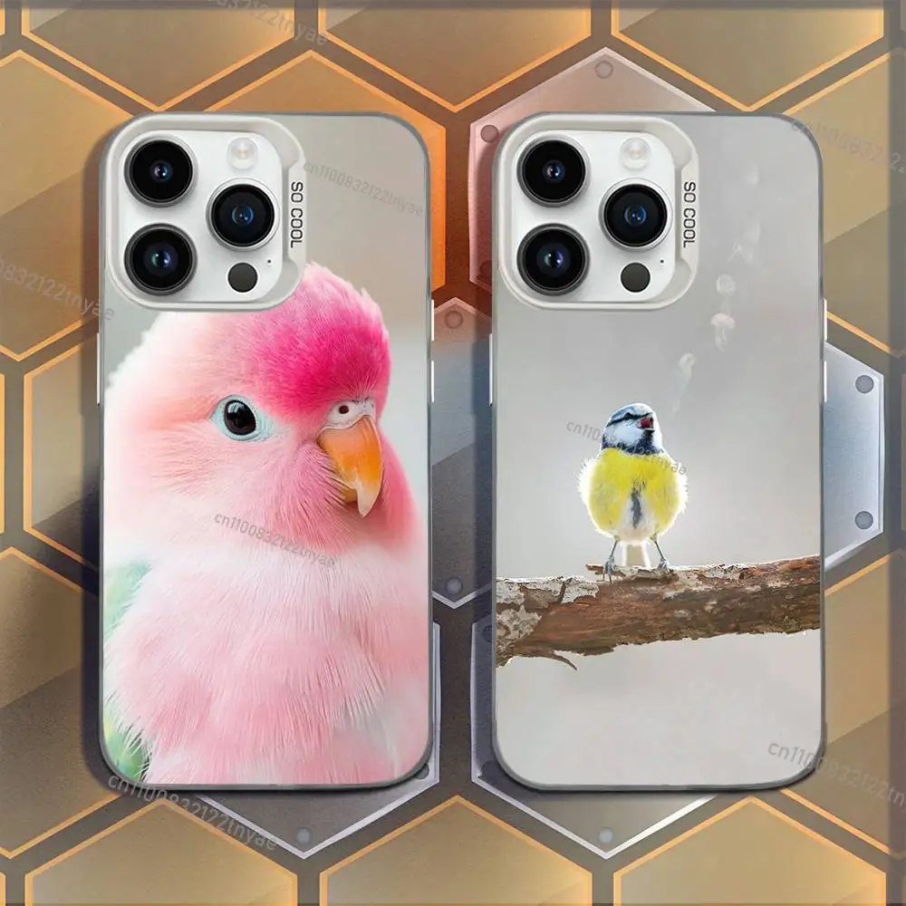 

Cute and fun little birds Phone Case For iPhone 17,16,15,14,13,12,11,Mini,Pro,E,MAX White Candy Matte Shockproof Cover