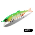 HS001