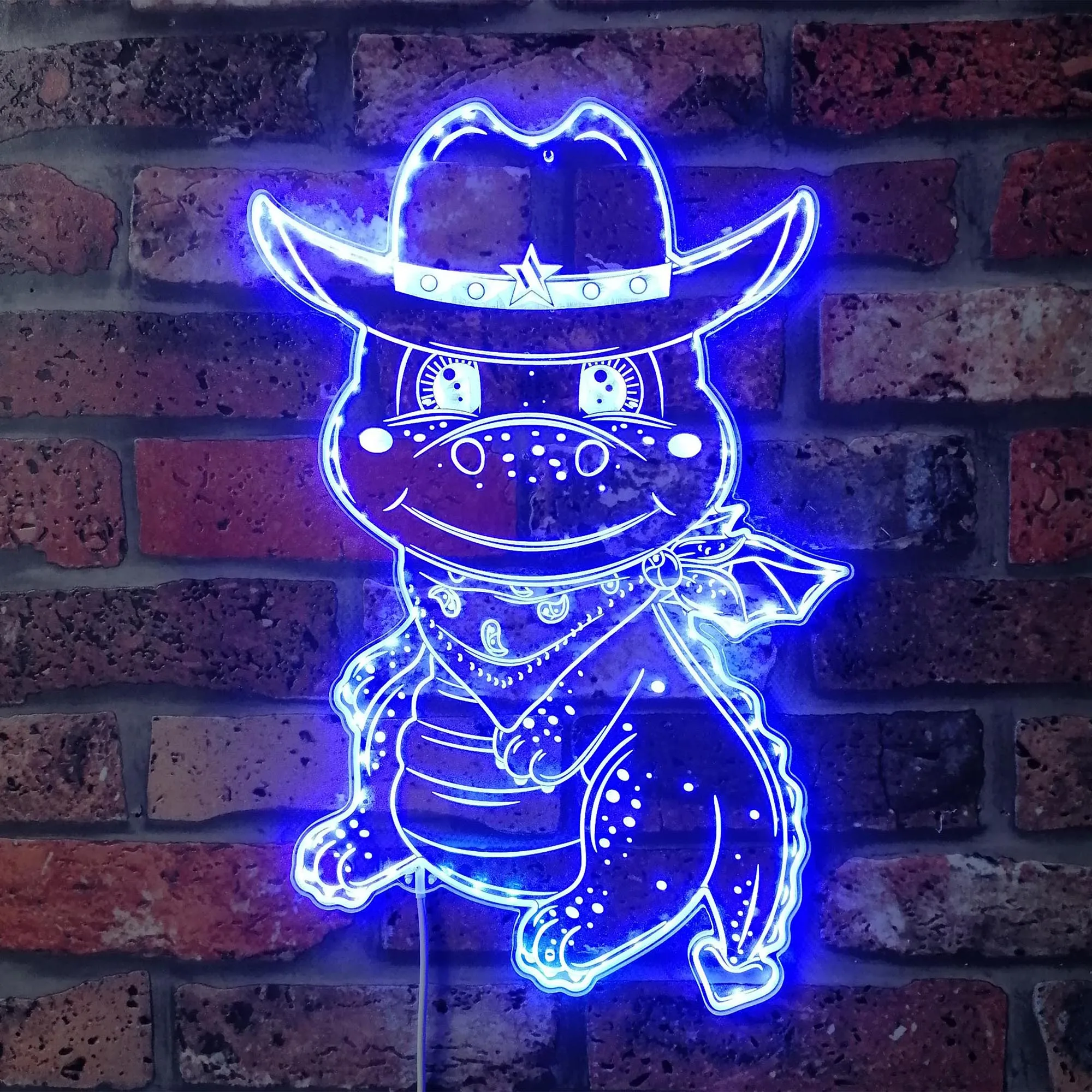 

Cowboy Dragon Hat Kid Room RGB Dynamic Glam LED Sign st06-fnd-i0301