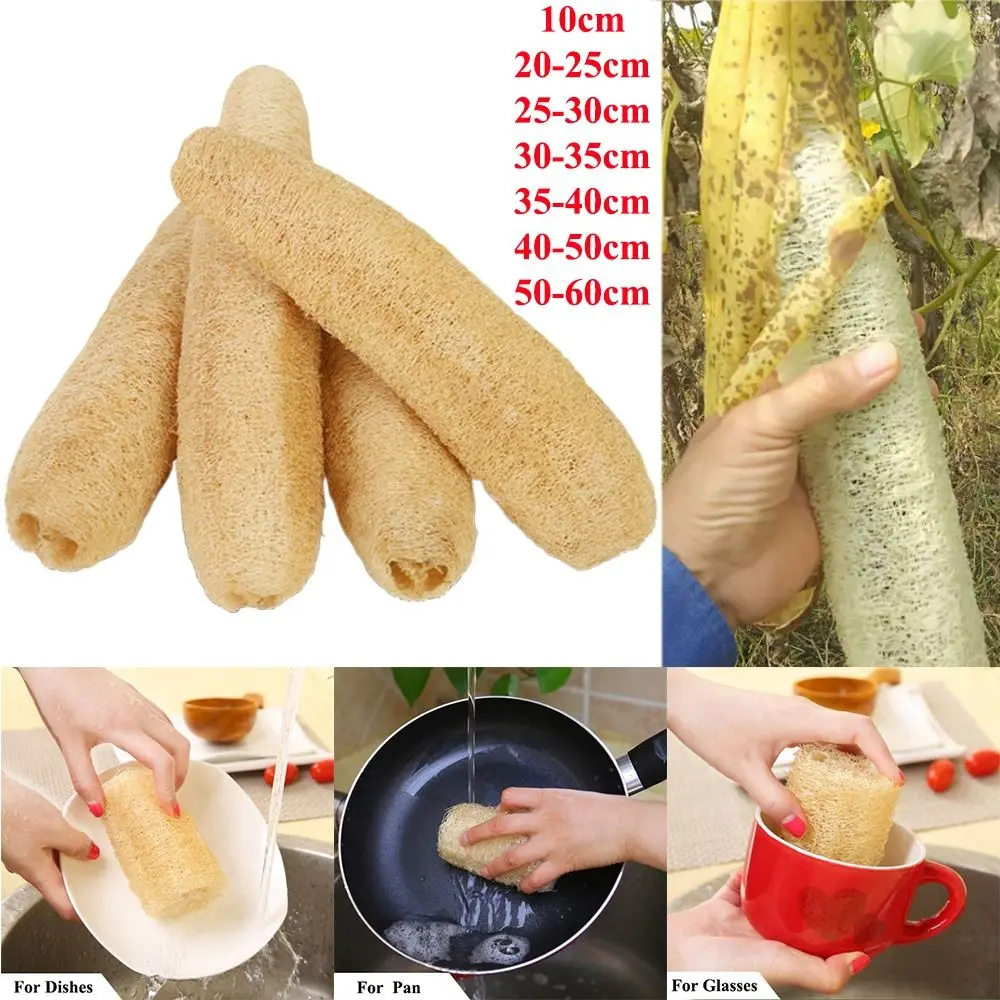 Natural Loofah Luffa Sponge Long Non-stick Body Shower Sponge Ecological Planting Good Absorbency Dish Towels Bath Kitchen