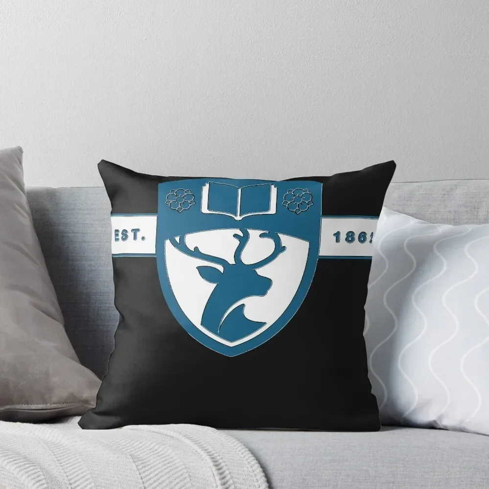 

The University of Southampton Throw Pillow Sofas Covers ornamental pillows Christmas Covers Couch Pillows pillow
