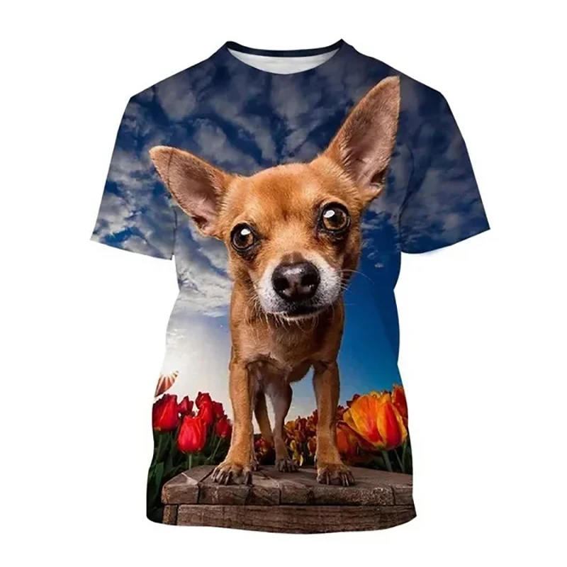 New Chihuahua Dog T-Shirts Cute Animal 3D Print Men's Woman Funny Short Sleeve T Shirt Oversized Harajuku Top Tees Man Clothing