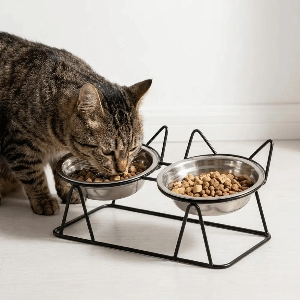 Fall-Resistant Raised Pet Feeding Bowls Thickened with Stand High Foot Dog Feeder Anti Overturning Cat Double Bowls