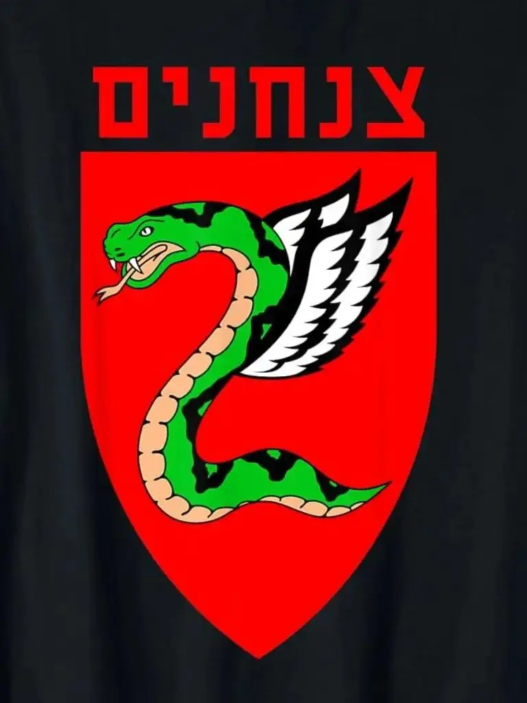 IDF paratroopers brigade casual men's T-shirt Tzanchanim Israeli Army elite unit 100% cotton O-neck short sleeve summer T-shirt.