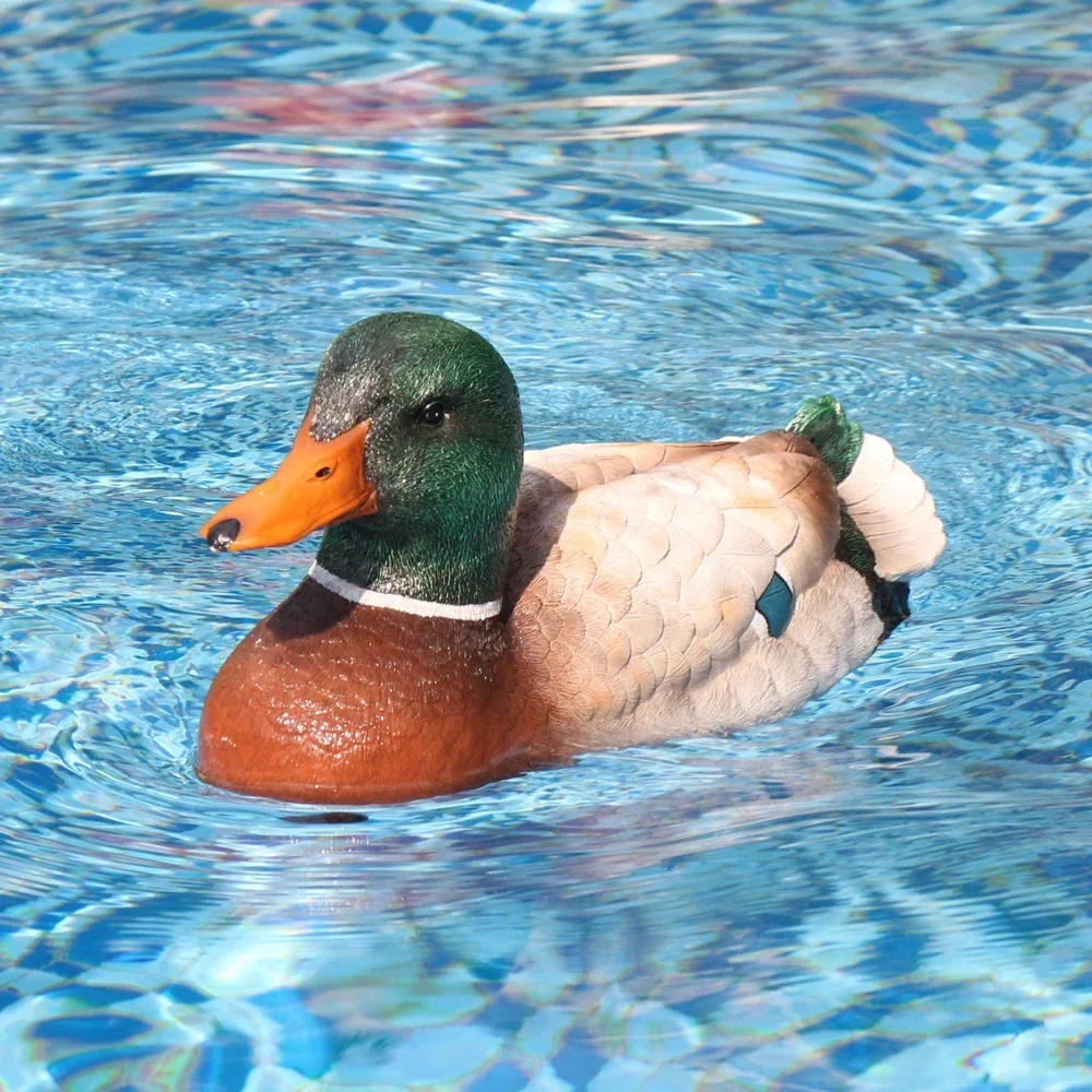 Hot sales V306 2.4G Radio Controlled Simulation Dolphin Toys RC Boat Fun Pool Floaty For Swimming Decor RC Boat