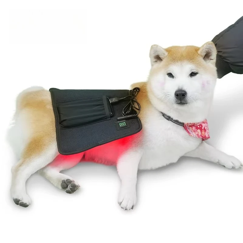 Wearable LED Light Therapy Wrap Horse Pain Relief Infrared 660 850Nm Back Recovery Belt Red Light Therapy Animal Care