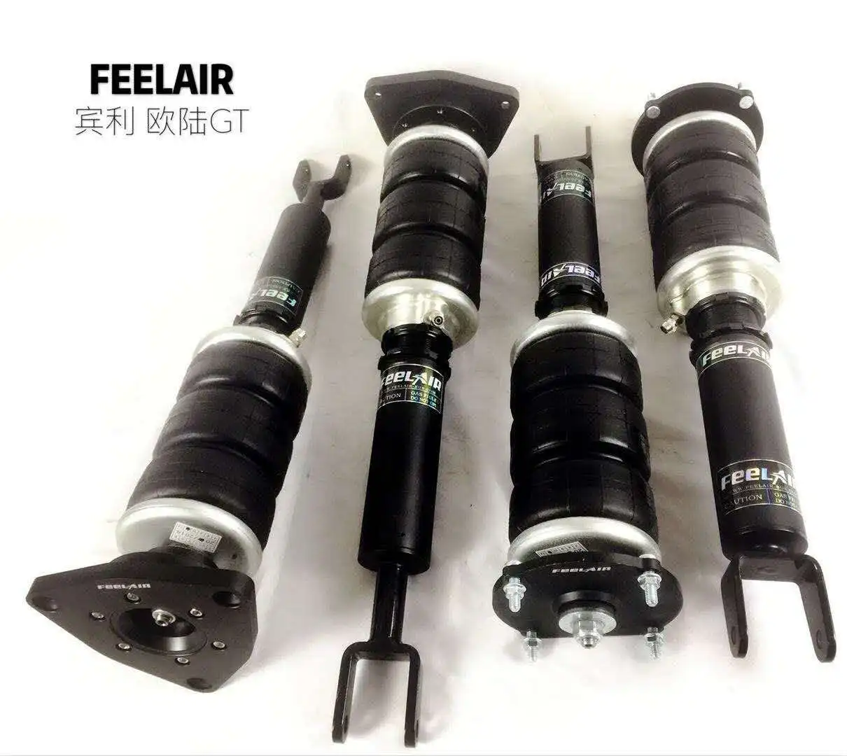 

Air Spring Suspension Shock Fiat Coil Over Shocks