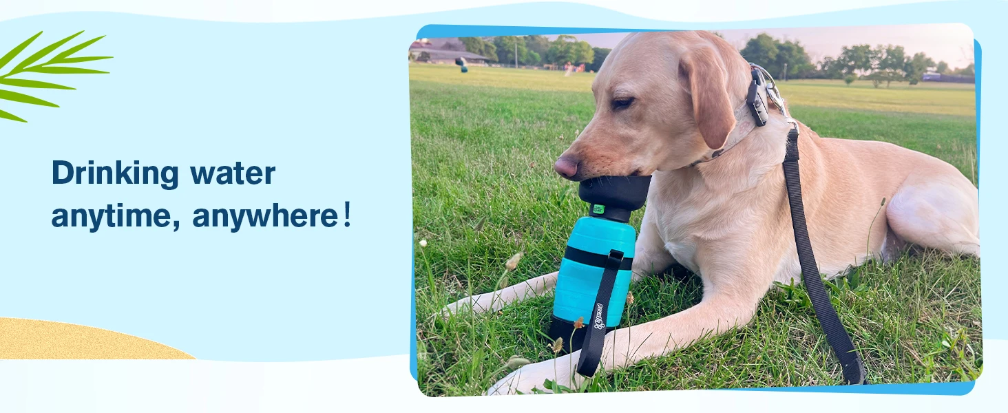 2-in-1 Dog Travel Water Bottle & Food Container – 650ml