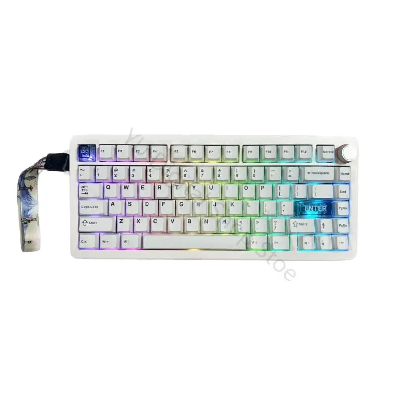 96BA QK75 Wireless Mechanical Keyboard with VIA Control and Gasketed Typing Feel