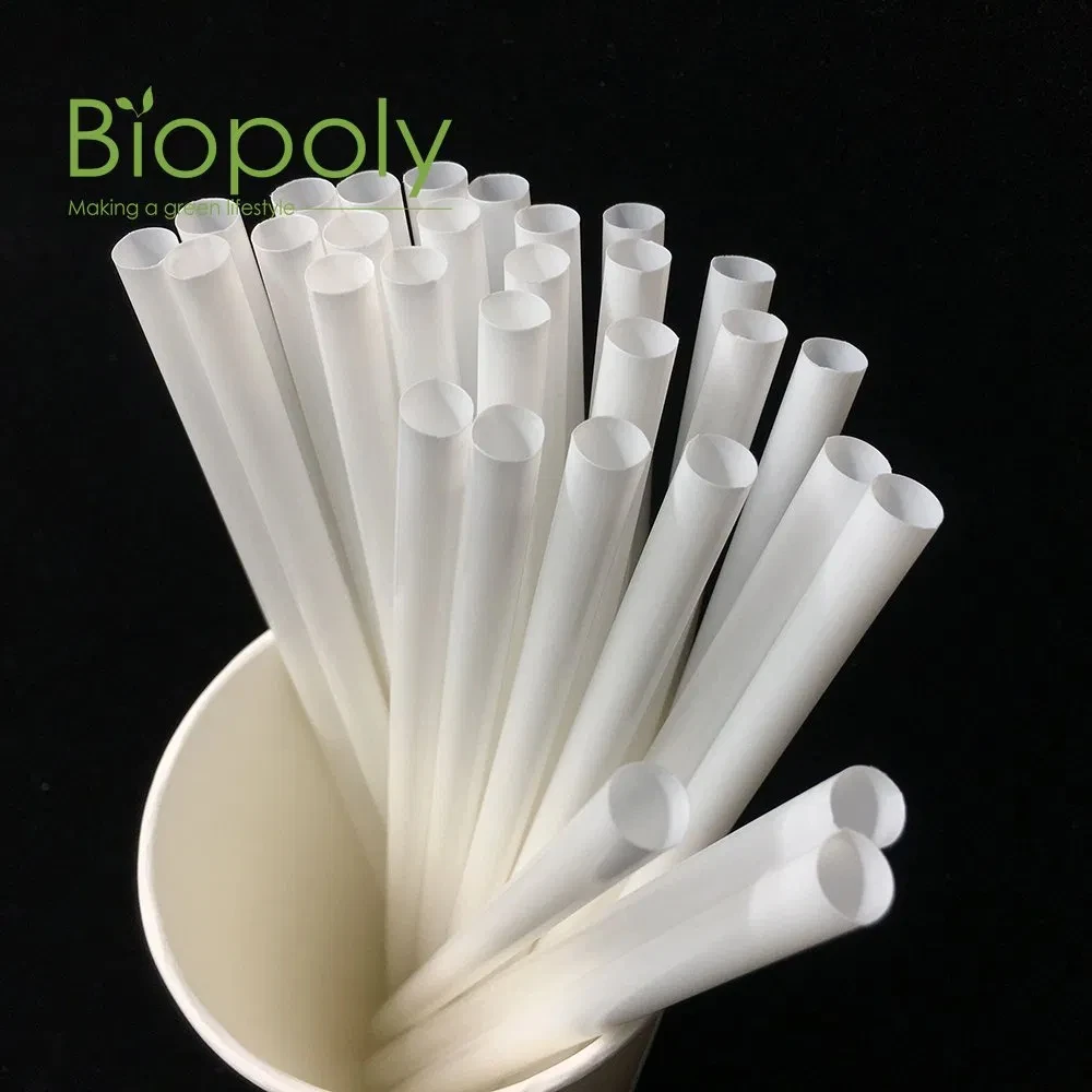 Alumina Ceramic Tube With 2 Hole OD 1-8mm Insulation Hollow Thermocouple Protection  Aluminum Oxide Ceramic Tube Al2O3