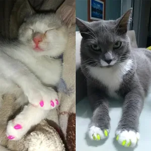 أفضل 6 متاجر أنيمي على الإنترنت مبيعا - رقم 3