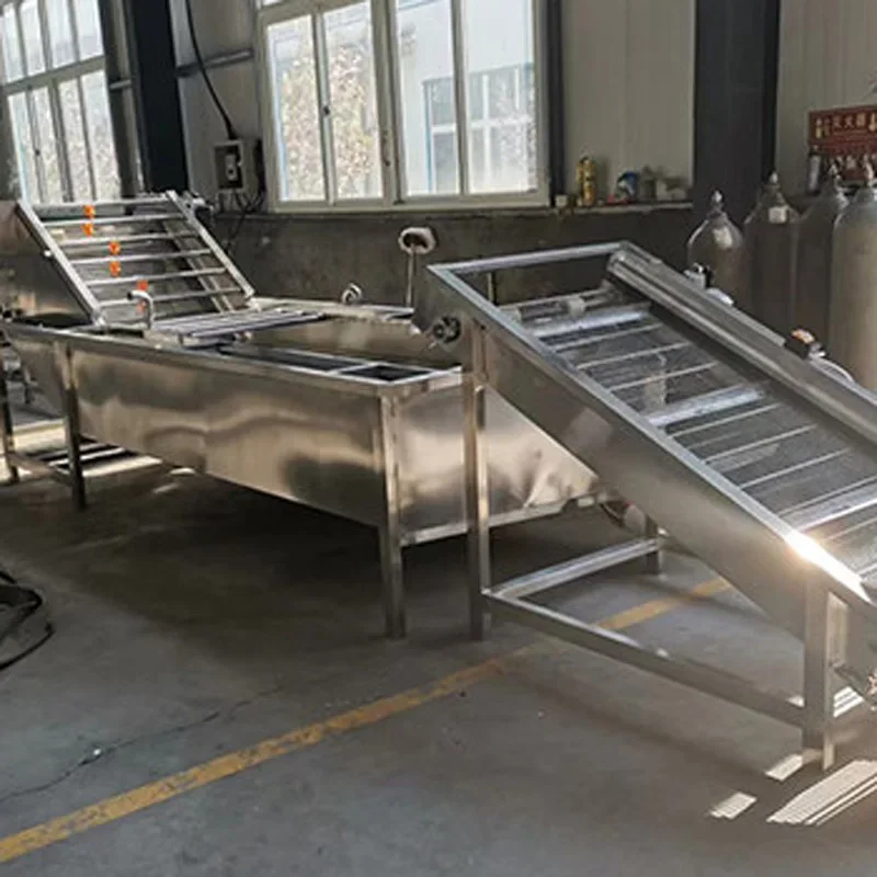 Fruit and Vegetable Bubble Washer, Multifunctional Fruit and Vegetable Washing Equipment, Fully Automatic Commercial(Customized)