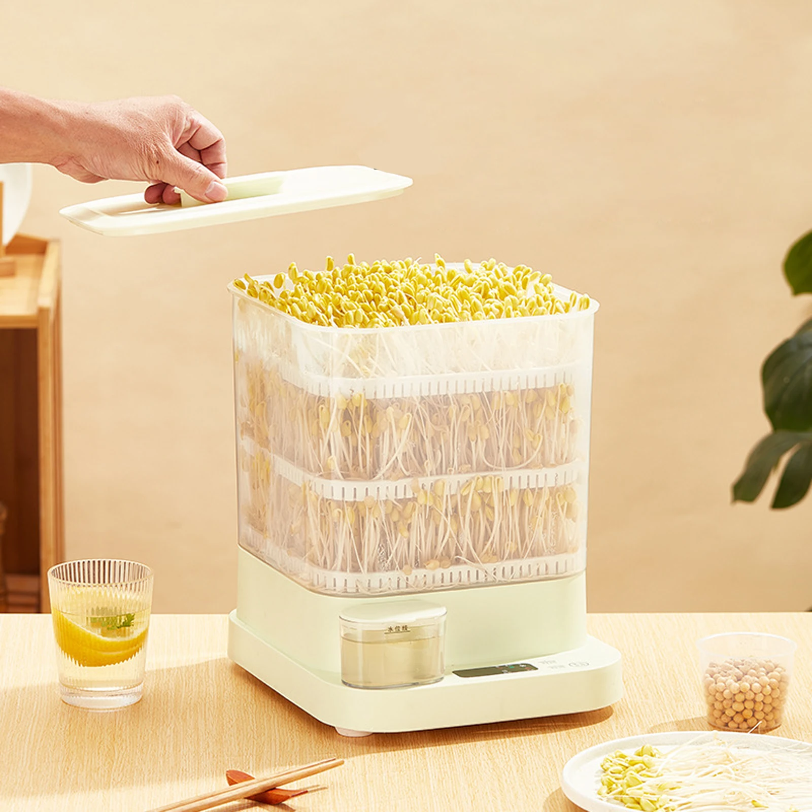 3 Layer Intelligent Bean Sprout Machine Auto Bean soaking growing Seasonal Modes Thermostat Sprouting for Household Mung Bean