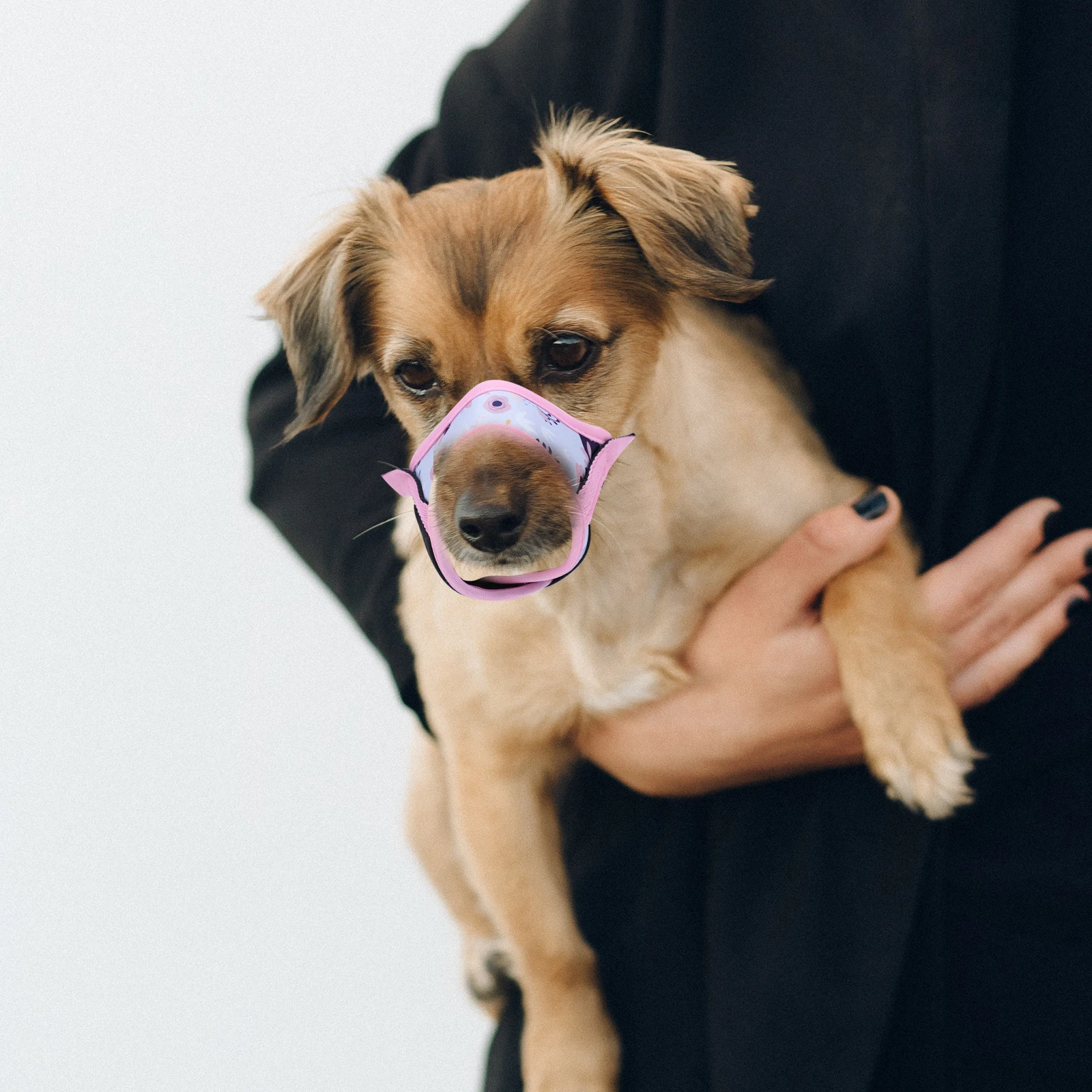 

Anti biting Chewing Polyester Dog Muzzle Breathable Pet Supply Adjustable Neck Strap Limit Barking Unwanted Chewing Practical