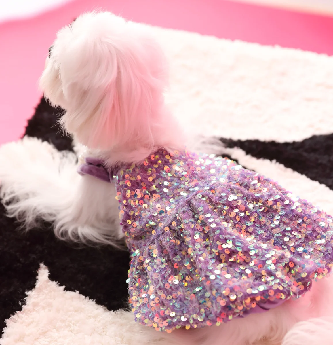 Luxury Soft Velvet Blingbling Puppy Gilr Dresses, Small Dogs York, Christmas, Birthday Party Coats, Kleider