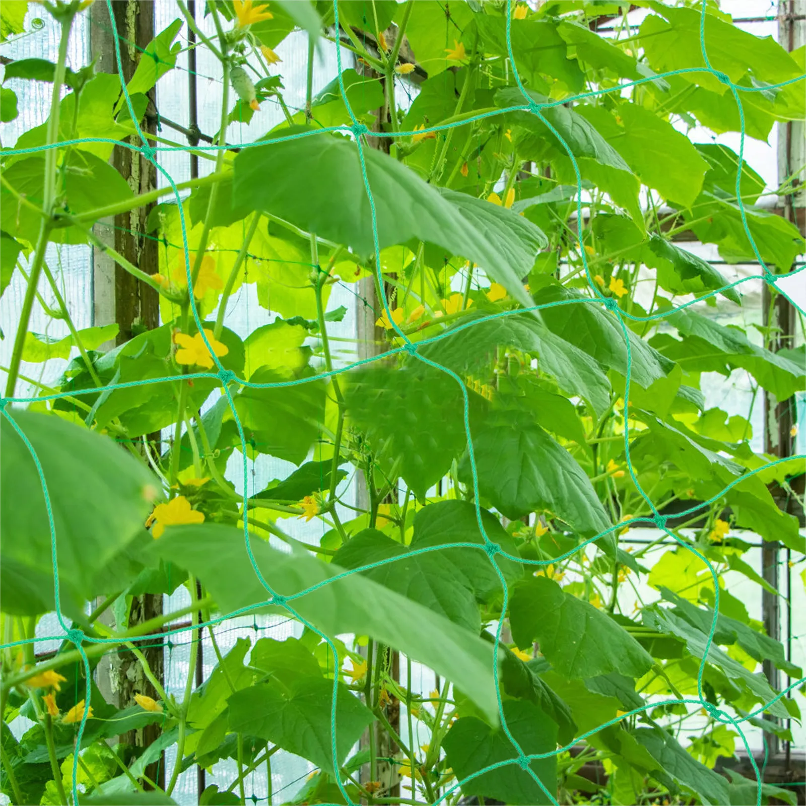 

2pcs Garden Trellis Netting 6Ft X 3.3Ft Green Plant Support For Climbing Vegetables Vines Beans Cucumbers Outdoor Durable Nylon
