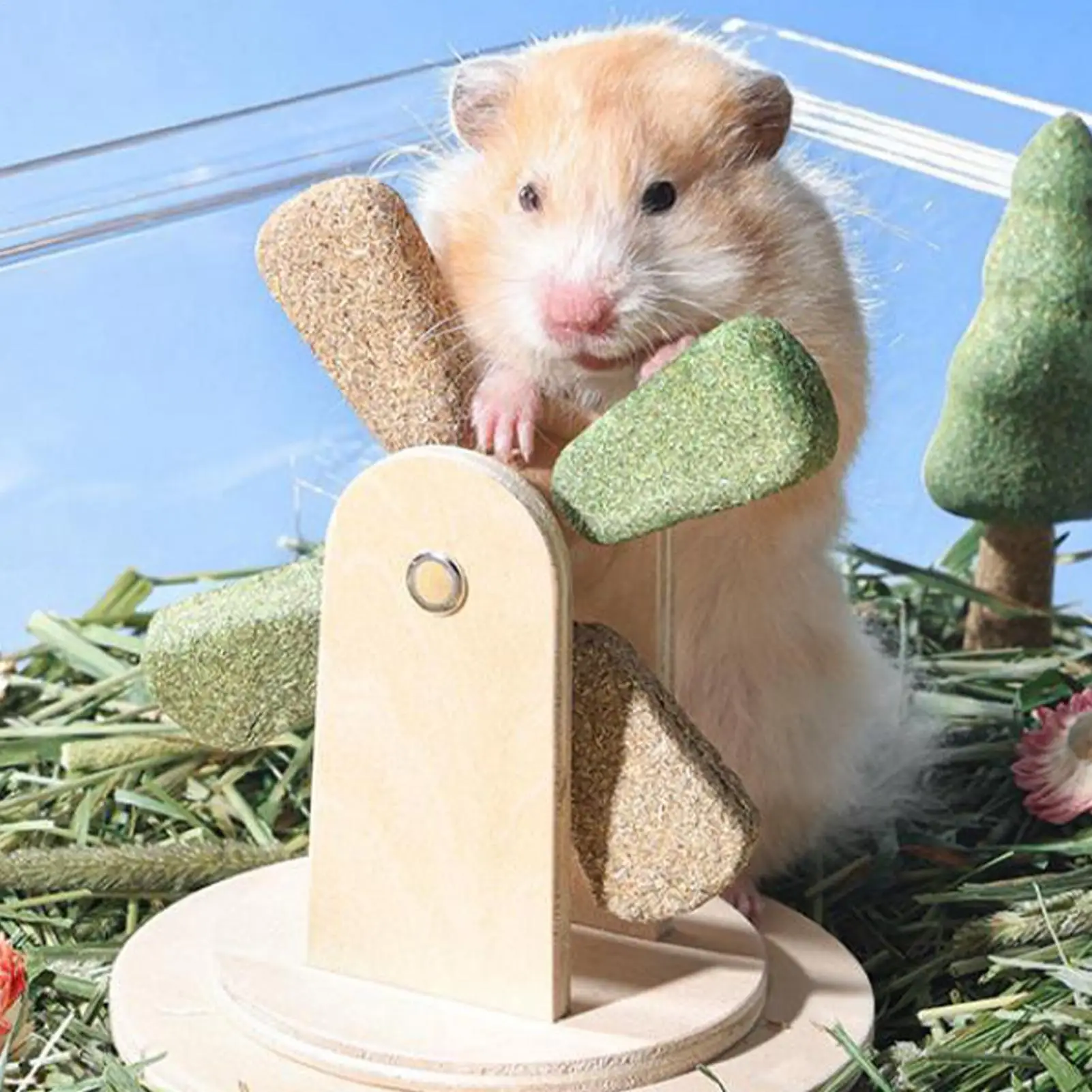 Hamster Chew Toys Interactive Windmill Shape Pet Teeth Grinder Small Animal Chew Toys for Ferrets Squirrels Chinchillas Mice