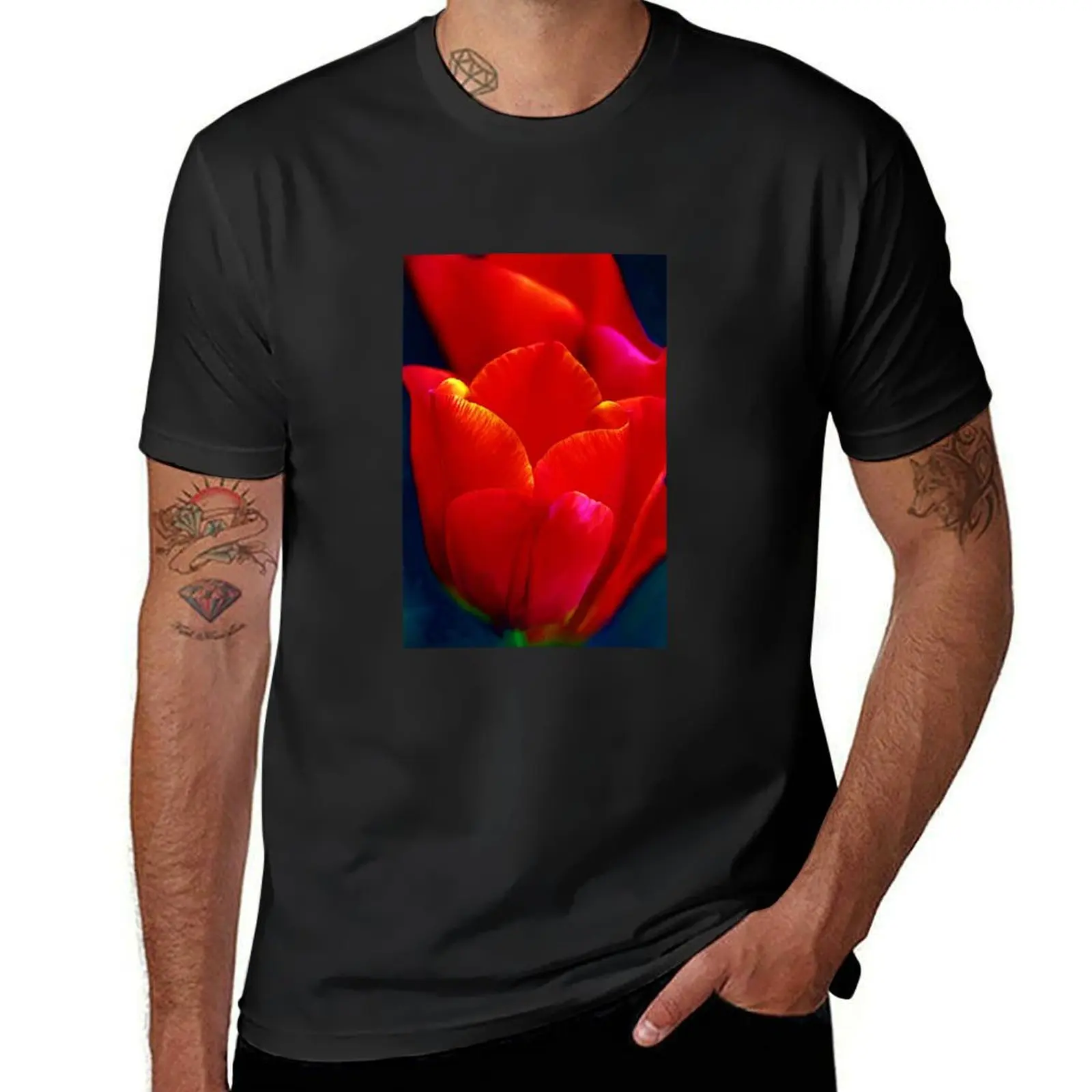 Red tulip with yellow tips of petals on black background. Beautiful spring flower T-Shirt plus sizes men t shirts