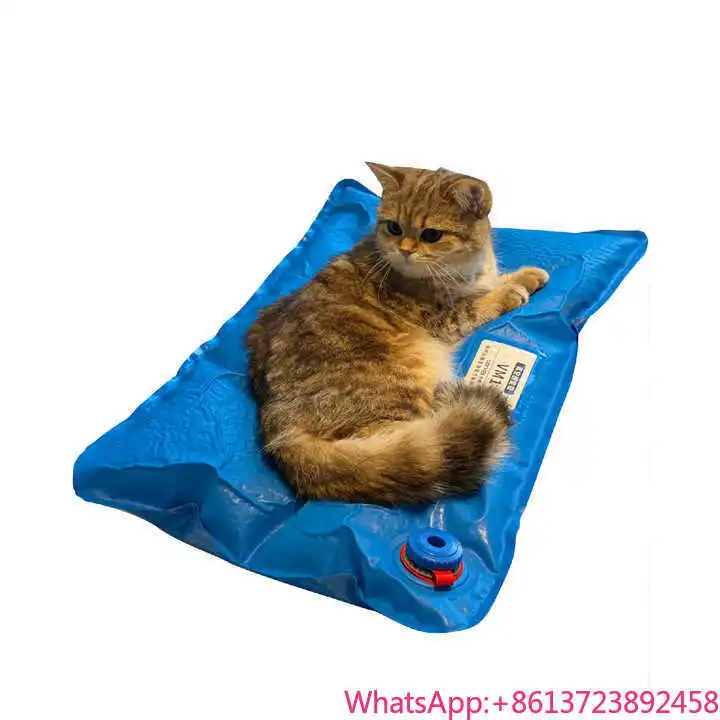 

Small 60CM X 40CM Veterinary Examination Fixed Pad Animal Surgical Accessories Pet Vacuum Positioning Mat for Care Room Use