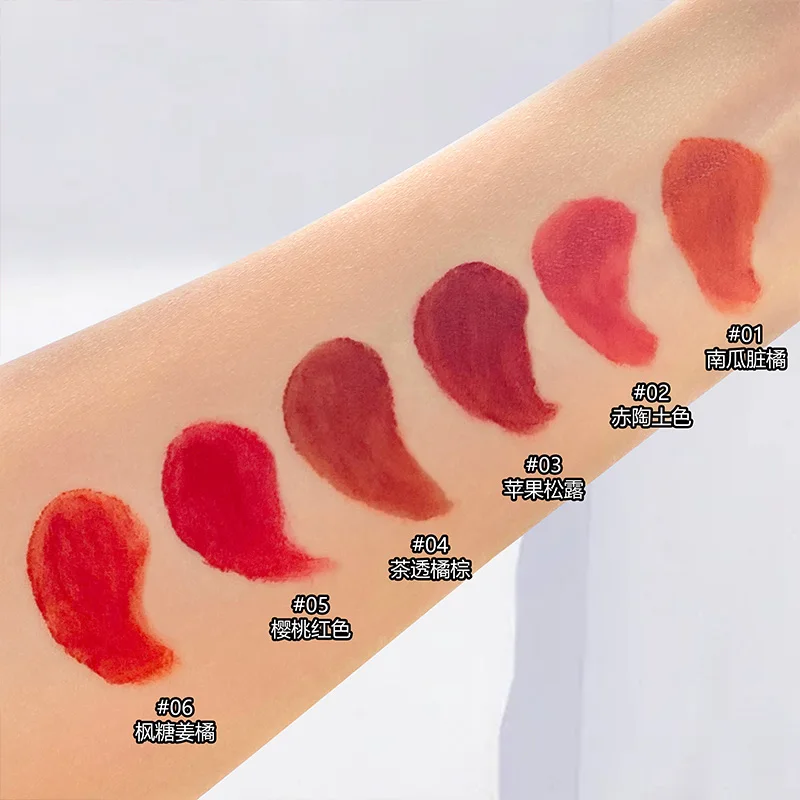 Rouge à lèvres velours mat, brillant à lèvres, boue, teinte rouge, glaçage coréen, imperméable, maquillage durable, cosmétiques, couleur chair, mat, chocolat