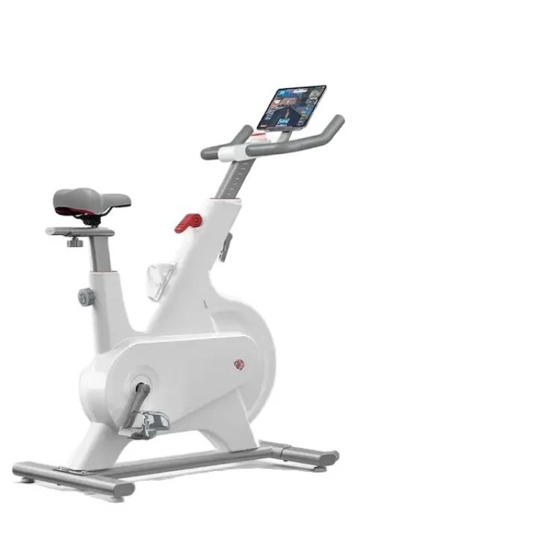 Bicycle M1P Home Sports Exercise Bike Indoor Weight Loss Equipment Quiet Ride