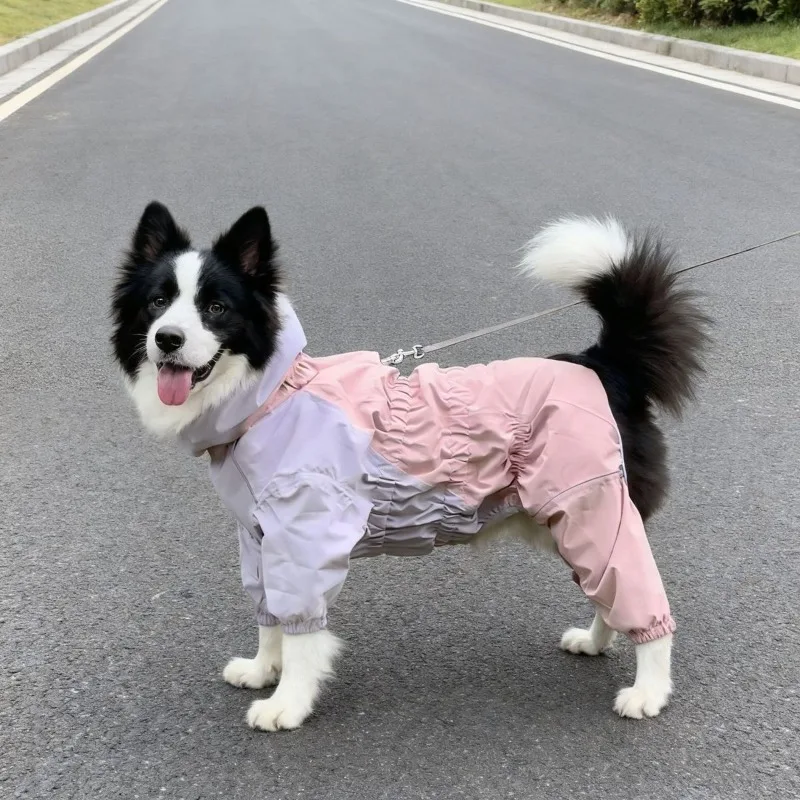 Autumn and Winter Thickened Four-legged Handsome Dog Clothes Samoyed Golden Retriever Shiba Inu Sports Velvet Cotton Clothes