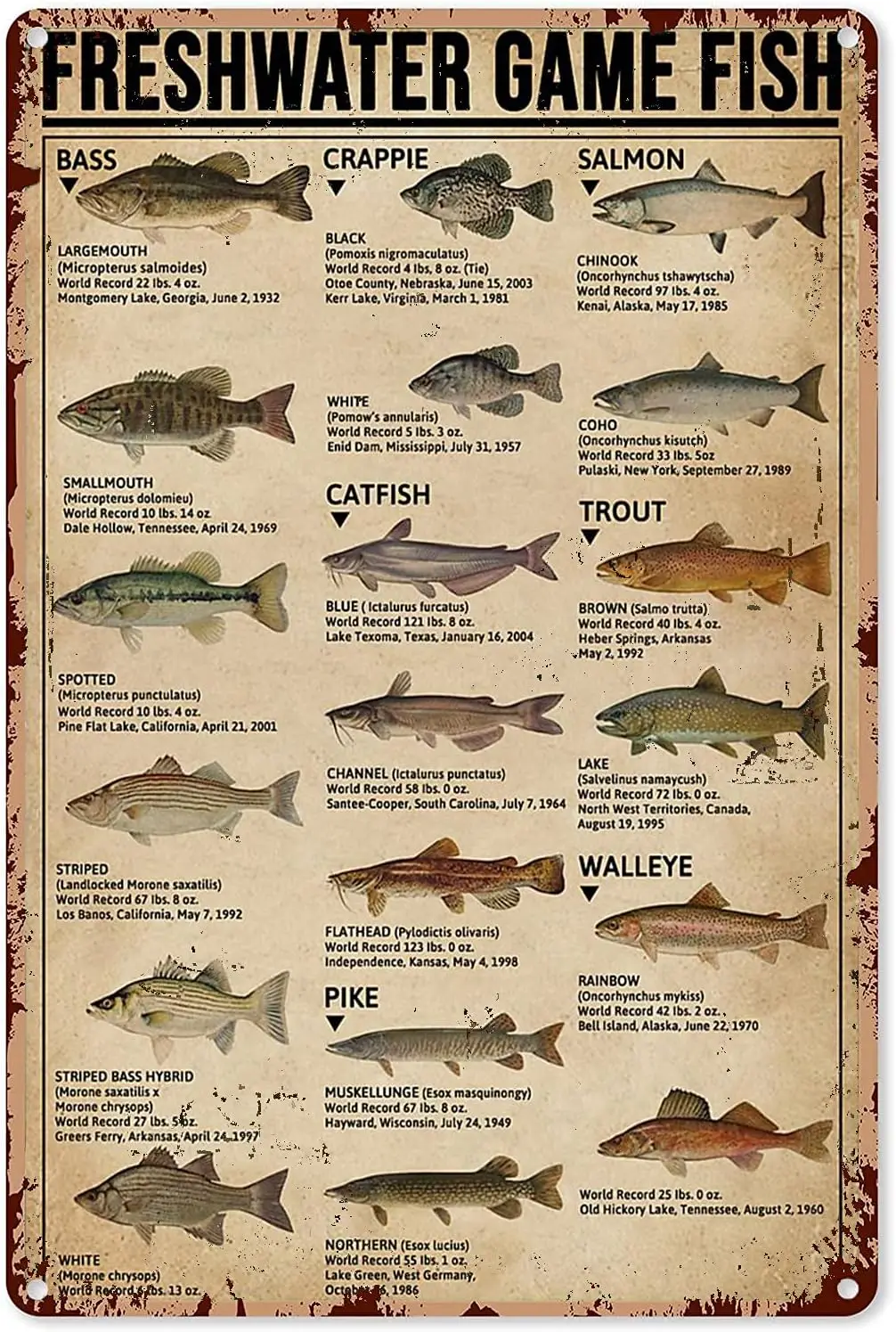 Fishing Art Posters Metal Sign Freshwater Game Fish Type Of Fish Knowledge Tin Sign Plaque Retro Wall Decor Home Man Cave Garage