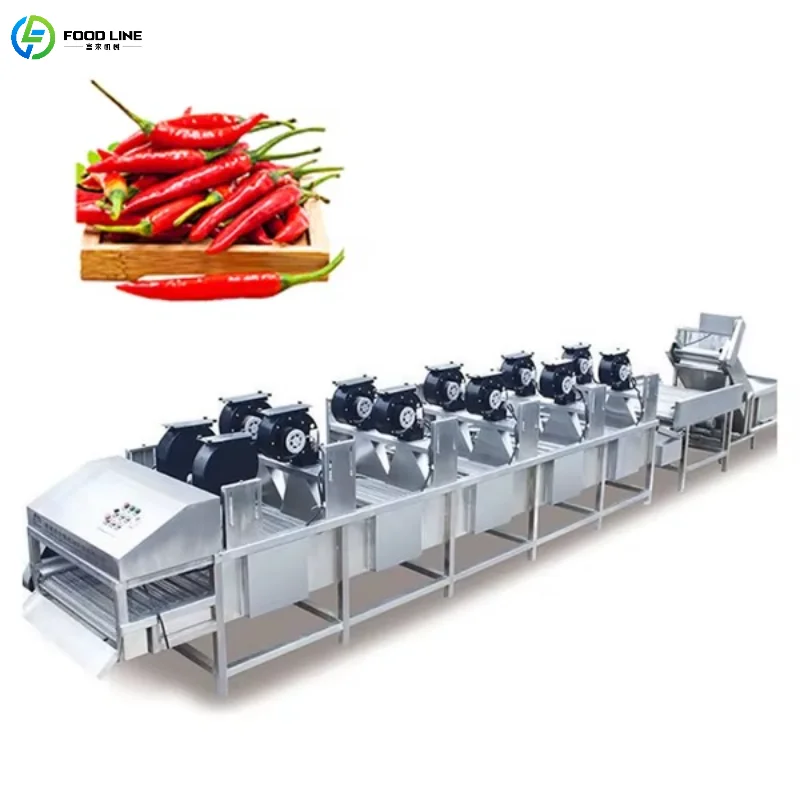 Customized Industrial Fruit and Vegetable Drying Conveyor Belt Air Blower Drying Commercial Processing Device