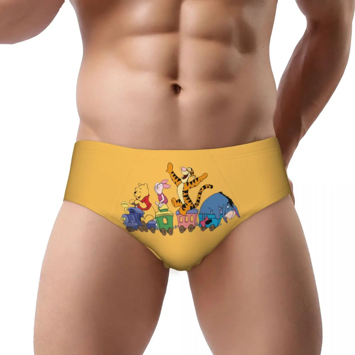 Custom My Friends Tigger Pooh Brief Panties for Women Comfort Stretch Underwear