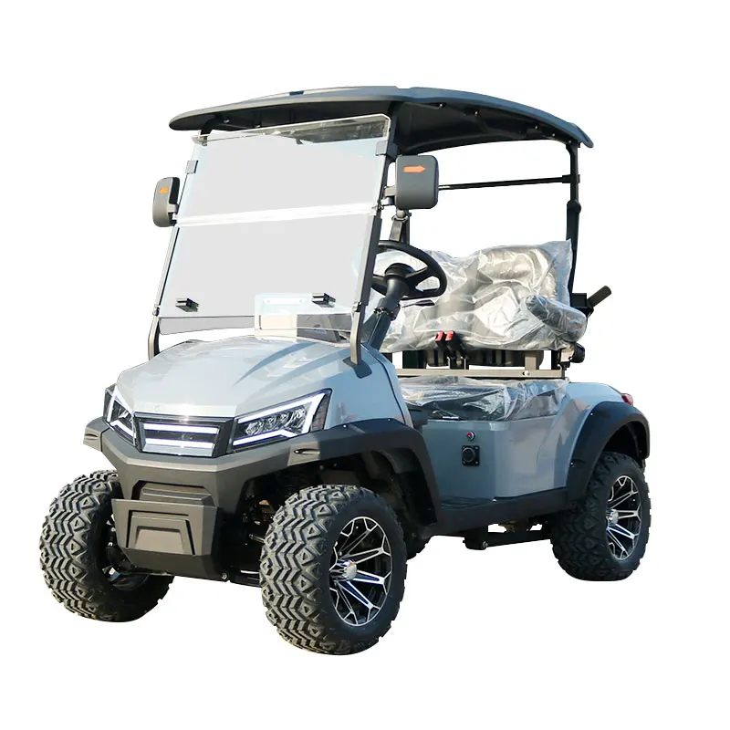 2 Seater Electric Golf Cart with Curtis Controller Compact Utility Vehicle for Resort Community Transportation