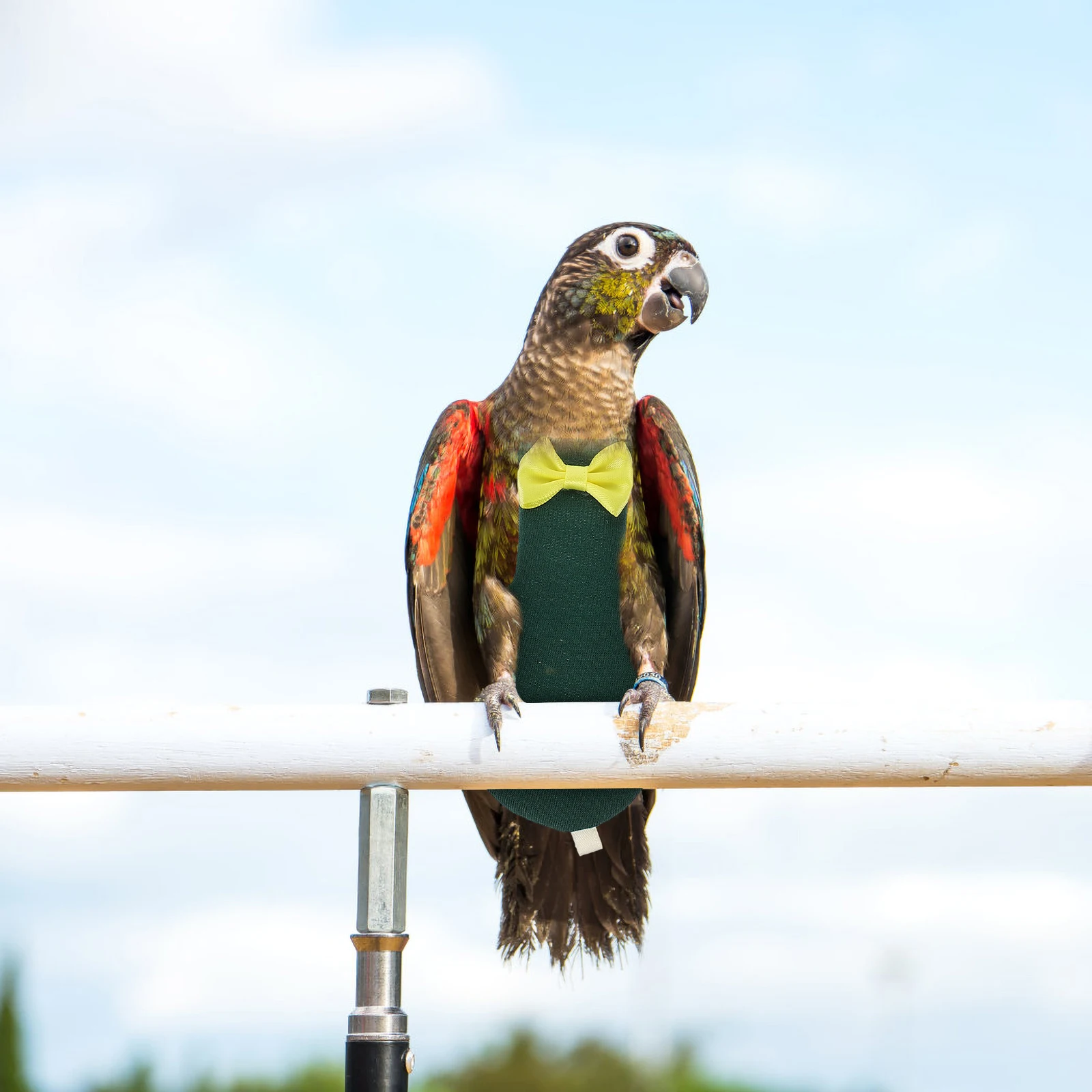 

Adjustable Parrot Diaper Flight Suit Hygienic Lightweight Parakeet Travel Clothing Decorative Diapers For