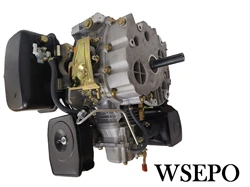 WSE250V 250CC Vertical Shaft Direct Injection Single Cylinder Air Cool 4 Str. Diesel Engine Used For Multi-Purposes