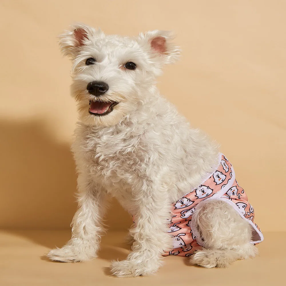 Pet Physiological Pants with Anti Harassment Menstrual Dog Pet Diapers and Mother Dog Physiological Pants