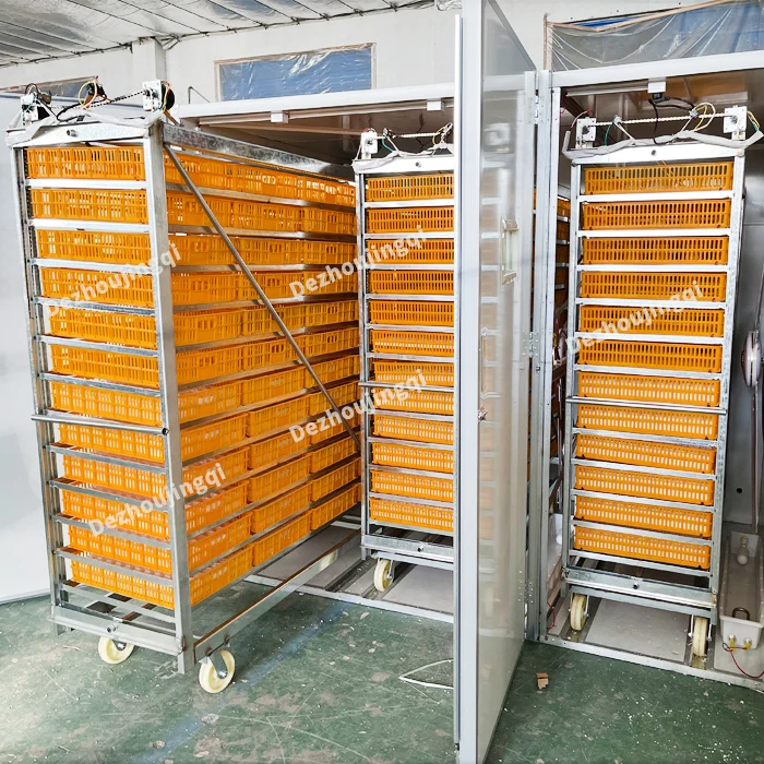 

Инкубатор для яиц на 10000 штук