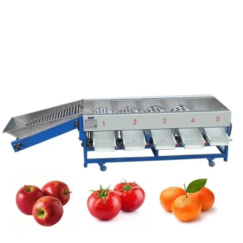 Drum Hole Fruit Size Sorting Machine With Feeding Conveyor Automatic Fruit Grading Separator For Farm Processing Customized
