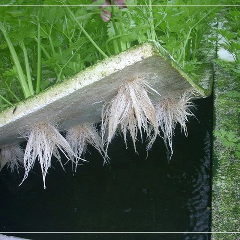 Hydro po nische Gemüses chwimm platte Bodenlose Anbau geräte Schaumstoff platte