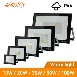 LED Flood Light 100W 50W 30W 20W 10W 220V Waterproof IP66 Reflector Floodlight Lamp 6500K LED Exterior Spot Outdoor Light